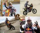 Сирил Депре чемпион в мотоцикл Дакар 2013